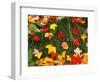 Maple Leaves and Grass-James Randklev-Framed Photographic Print