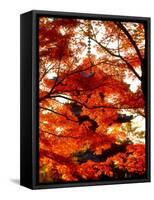 Maple Leaves and Shinnyo-Do Temple-null-Framed Stretched Canvas