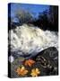 Maple Leaves and Wadleigh Falls on the Lamprey River, New Hampshire, USA-Jerry & Marcy Monkman-Stretched Canvas