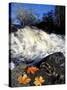 Maple Leaves and Wadleigh Falls on the Lamprey River, New Hampshire, USA-Jerry & Marcy Monkman-Stretched Canvas