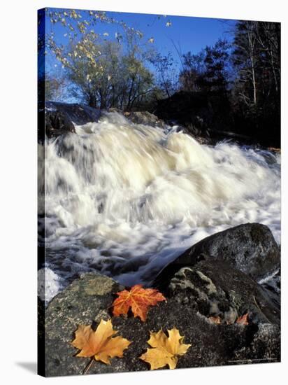 Maple Leaves and Wadleigh Falls on the Lamprey River, New Hampshire, USA-Jerry & Marcy Monkman-Stretched Canvas