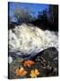 Maple Leaves and Wadleigh Falls on the Lamprey River, New Hampshire, USA-Jerry & Marcy Monkman-Stretched Canvas
