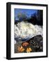 Maple Leaves and Wadleigh Falls on the Lamprey River, New Hampshire, USA-Jerry & Marcy Monkman-Framed Photographic Print