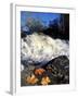 Maple Leaves and Wadleigh Falls on the Lamprey River, New Hampshire, USA-Jerry & Marcy Monkman-Framed Photographic Print