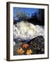 Maple Leaves and Wadleigh Falls on the Lamprey River, New Hampshire, USA-Jerry & Marcy Monkman-Framed Photographic Print