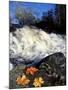 Maple Leaves and Wadleigh Falls on the Lamprey River, New Hampshire, USA-Jerry & Marcy Monkman-Mounted Photographic Print