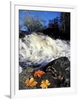 Maple Leaves and Wadleigh Falls on the Lamprey River, New Hampshire, USA-Jerry & Marcy Monkman-Framed Photographic Print