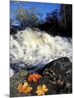Maple Leaves and Wadleigh Falls on the Lamprey River, New Hampshire, USA-Jerry & Marcy Monkman-Mounted Photographic Print
