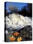 Maple Leaves and Wadleigh Falls on the Lamprey River, New Hampshire, USA-Jerry & Marcy Monkman-Stretched Canvas