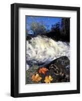 Maple Leaves and Wadleigh Falls on the Lamprey River, New Hampshire, USA-Jerry & Marcy Monkman-Framed Photographic Print