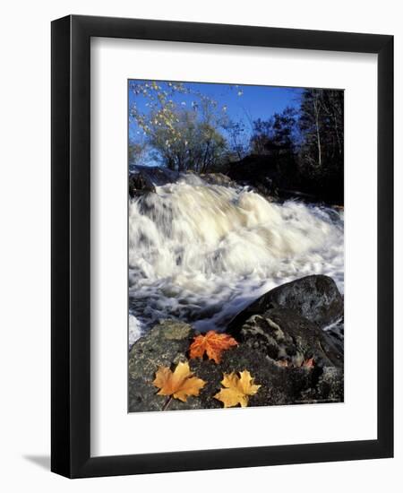 Maple Leaves and Wadleigh Falls on the Lamprey River, New Hampshire, USA-Jerry & Marcy Monkman-Framed Photographic Print