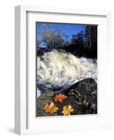 Maple Leaves and Wadleigh Falls on the Lamprey River, New Hampshire, USA-Jerry & Marcy Monkman-Framed Photographic Print