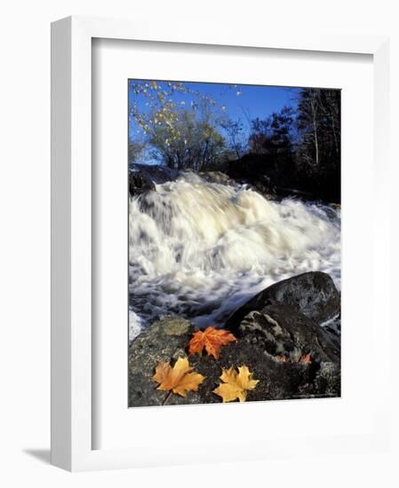 Maple Leaves and Wadleigh Falls on the Lamprey River, New Hampshire, USA-Jerry & Marcy Monkman-Framed Photographic Print