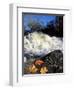 Maple Leaves and Wadleigh Falls on the Lamprey River, New Hampshire, USA-Jerry & Marcy Monkman-Framed Photographic Print