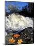 Maple Leaves and Wadleigh Falls on the Lamprey River, New Hampshire, USA-Jerry & Marcy Monkman-Mounted Photographic Print