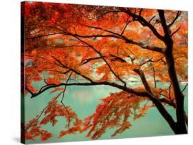 Maple Leaves, Arashi-Yama, Kyoto, Japan-null-Stretched Canvas