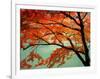 Maple Leaves, Arashi-Yama, Kyoto, Japan-null-Framed Photographic Print