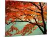 Maple Leaves, Arashi-Yama, Kyoto, Japan-null-Mounted Photographic Print