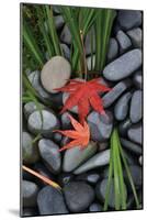 Maple Leaves I-Brian Moore-Mounted Photographic Print