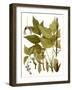 Maple Leaves I-null-Framed Art Print