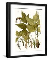 Maple Leaves I-null-Framed Art Print