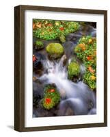 Maple Leaves on the Moss-null-Framed Photographic Print