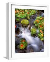 Maple Leaves on the Moss-null-Framed Photographic Print