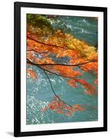 Maple Leaves Over River Uji-null-Framed Photographic Print