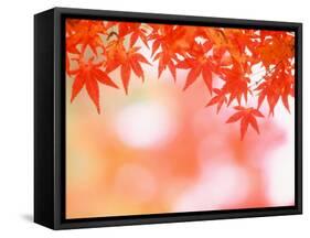 Maple Leaves-null-Framed Stretched Canvas