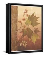 Maple Leaves-Jillian Jeffrey-Framed Stretched Canvas