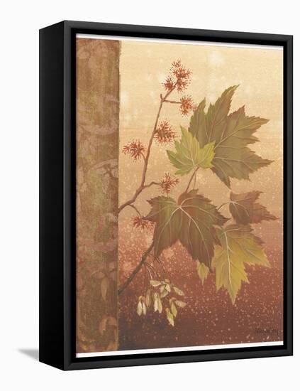 Maple Leaves-Jillian Jeffrey-Framed Stretched Canvas