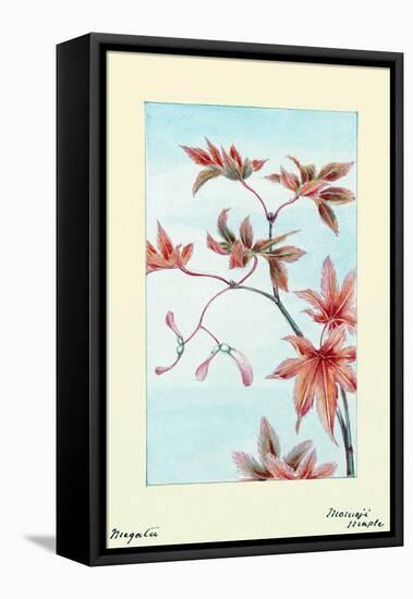 Maple Leaves-Megata Morikaga-Framed Stretched Canvas