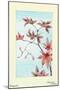 Maple Leaves-Megata Morikaga-Mounted Art Print