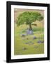 Maple on Spieden Island-Don Paulson-Framed Giclee Print