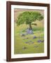 Maple on Spieden Island-Don Paulson-Framed Giclee Print