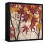 Maple Story 1-Melissa Pluch-Framed Stretched Canvas