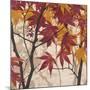 Maple Story 1-Melissa Pluch-Mounted Art Print