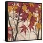 Maple Story 1-Melissa Pluch-Framed Stretched Canvas