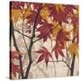 Maple Story 1-Melissa Pluch-Stretched Canvas