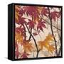 Maple Story 2-Melissa Pluch-Framed Stretched Canvas