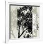 Maple Stripe-Sarah Cheyne-Framed Giclee Print
