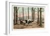 Maple Sugar Camp, Vermont-null-Framed Art Print