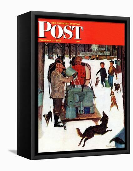 "Maple Syrup Time in Vermont," Saturday Evening Post Cover, February 17, 1945-Mead Schaeffer-Framed Stretched Canvas