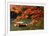 Maple Tree and River-WRChen-Framed Photographic Print