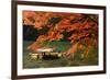 Maple Tree and River-WRChen-Framed Photographic Print