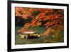 Maple Tree and River-WRChen-Framed Photographic Print