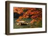 Maple Tree and River-WRChen-Framed Photographic Print