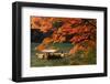 Maple Tree and River-WRChen-Framed Photographic Print