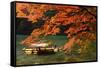 Maple Tree and River-WRChen-Framed Stretched Canvas