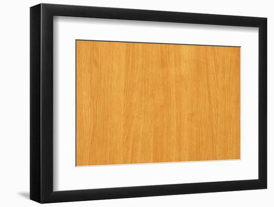Maple  Tree Wood Textured Background-tupikov-Framed Photographic Print